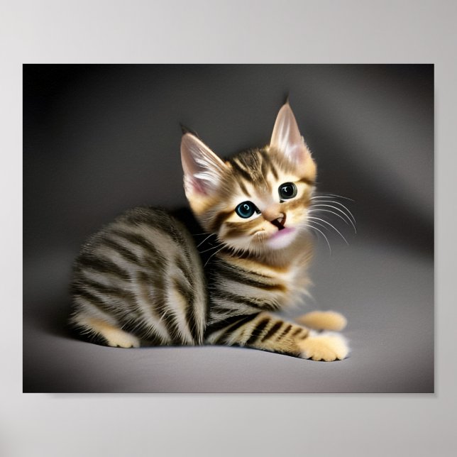 Cute fluffy tabby katt baby poster (Framsidan)