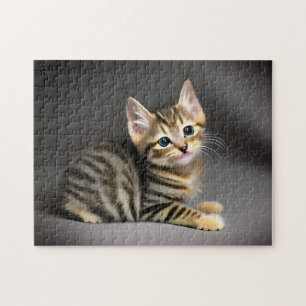 Cute fluffy tabby katt baby pussel