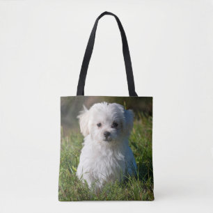 Cute Fluffy White Malta Puppy Hund Tygkasse