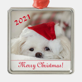 Cute Fluffy White Maltese Puppy Hund i Santa Hat Julgransprydnad Metall