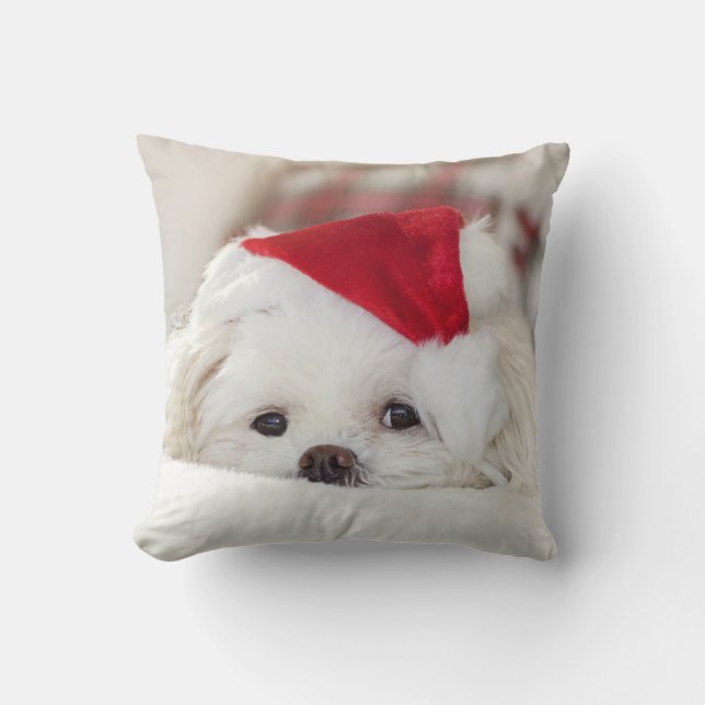 Cute Fluffy White Maltese Puppy Hund i Santa Hat Kudde (Framsida)