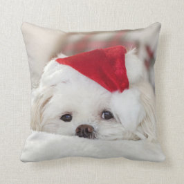 Cute Fluffy White Maltese Puppy Hund i Santa Hat Kudde