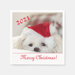 Cute Fluffy White Maltese Puppy Hund i Santa Hat Pappersservett