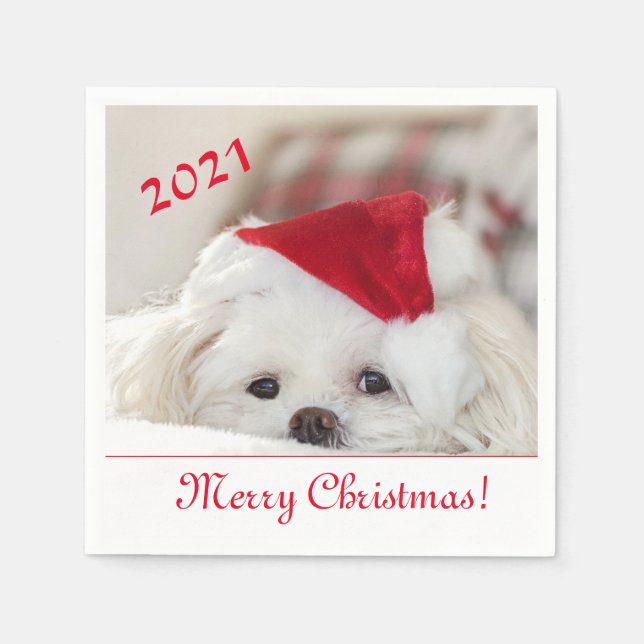 Cute Fluffy White Maltese Puppy Hund i Santa Hat Pappersservett (Framsidan)