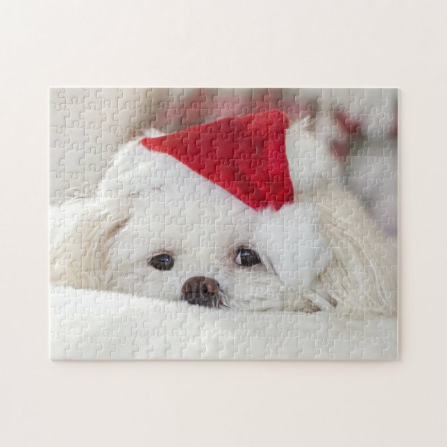 Cute Fluffy White Maltese Puppy Hund i Santa Hat Pussel (Horisontell)