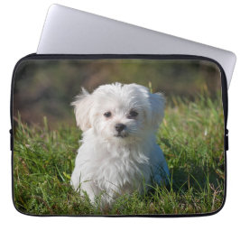 Cute Fluffy White Maltese Puppy Hund Laptop Fodral
