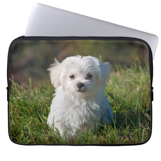 Cute Fluffy White Maltese Puppy Hund Laptop Fodral (Framsidan)