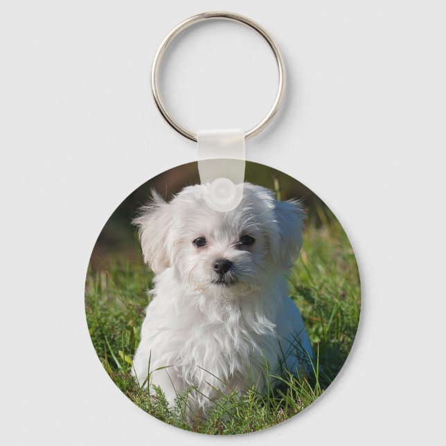 Cute Fluffy White Maltese Puppy Hund Nyckelring (Framsida)