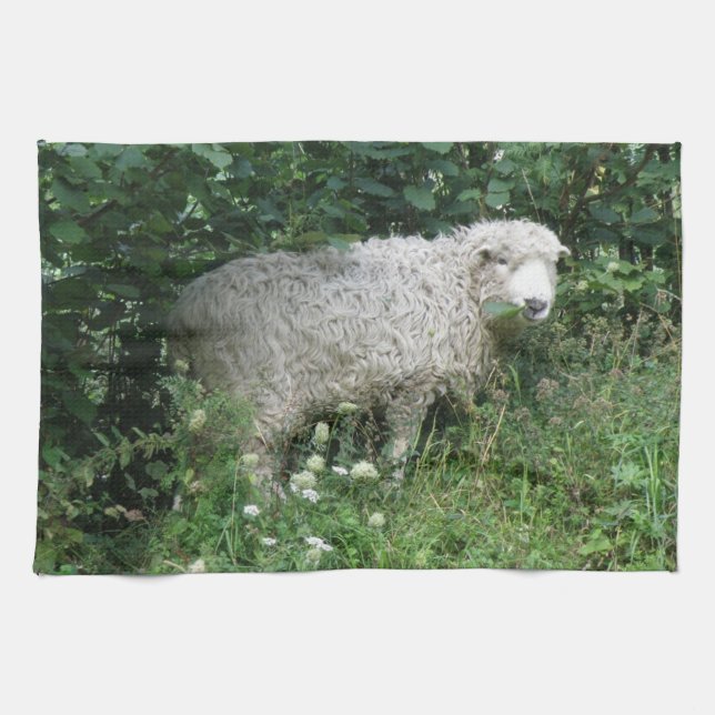 Cute Fluffy White Sheep Eating Kitchen Towel Kökshandduk (Horisontell)