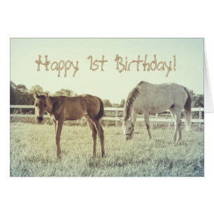 Cute Foal Horse Animals Anpassningsbar Birthday Ca Hälsningskort