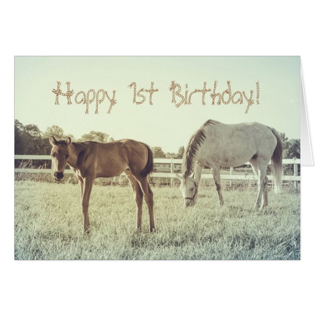 Cute Foal Horse Animals Anpassningsbar Birthday Ca Hälsningskort (Framsidan Horizontal)