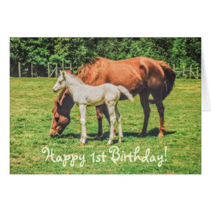 Cute Foal Horse Animals Anpassningsbar Lycklig 1:a Hälsningskort