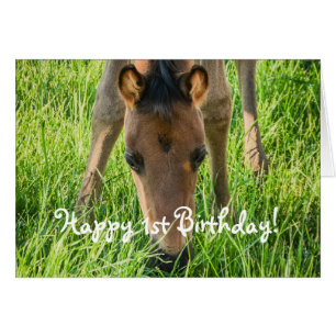 Cute Foal Horse Animals Grattis på födelsedagen Hälsningskort