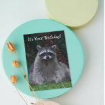 Cute Forest Raccoon Photo Funny Birthday Kort<br><div class="desc">Det här populära,  roliga födelsedagskortet för alla innehåller fotobilden av en söt,  skog-Raccoon som pockar för kameran. Välj från projektionsyta eller glansigt stil-kort.</div>