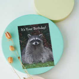 Cute Forest Raccoon Photo Funny Birthday Kort