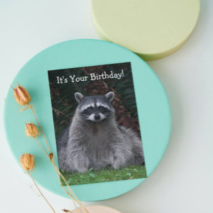 Cute Forest Raccoon Photo Funny Birthday Kort