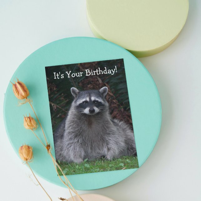 Cute Forest Raccoon Photo Funny Birthday Kort (In Situ)