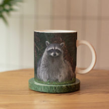 Cute Forest Raccoon Wildlife Photo