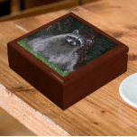 Cute Forest Raccoon Wildlife Photo Smyckeskrin<br><div class="desc">Förvara kryddartiklar,  smycken och andra små keepsaker i den här presentlådan av trä med keramik som innehåller fotobilden av en söt,  skog,  Raccoon som pockar för kameran. Markera din presentlåda storlek och färg.</div>