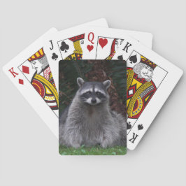 Cute Forest Raccoon Wildlife Photo Spel Kort