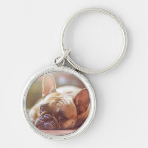Cute Fransk Bulldog Ansikte, Ljuger ned Rund Silverfärgad Nyckelring