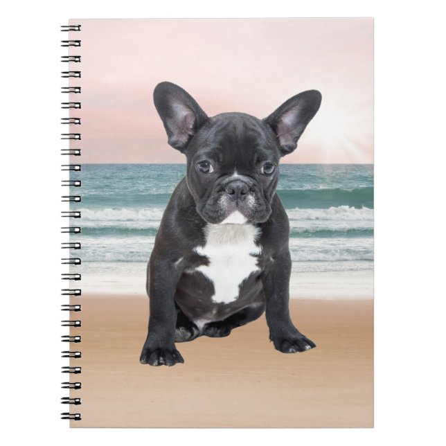 Cute Fransk Bulldog Beach Sol Vatten Anteckningsbok (Framsidan)