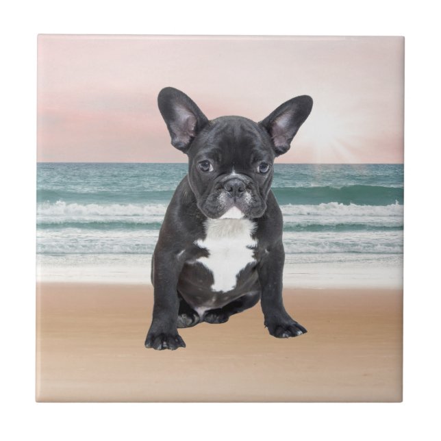 Cute Fransk Bulldog Beach Sol Vatten Kakelplatta (Framsidan)