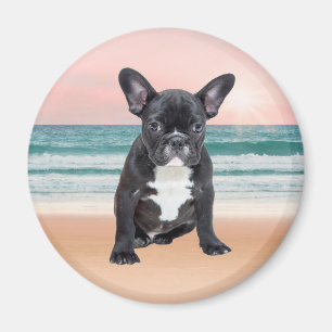 Cute Fransk Bulldog Beach Sol Vatten Magnet