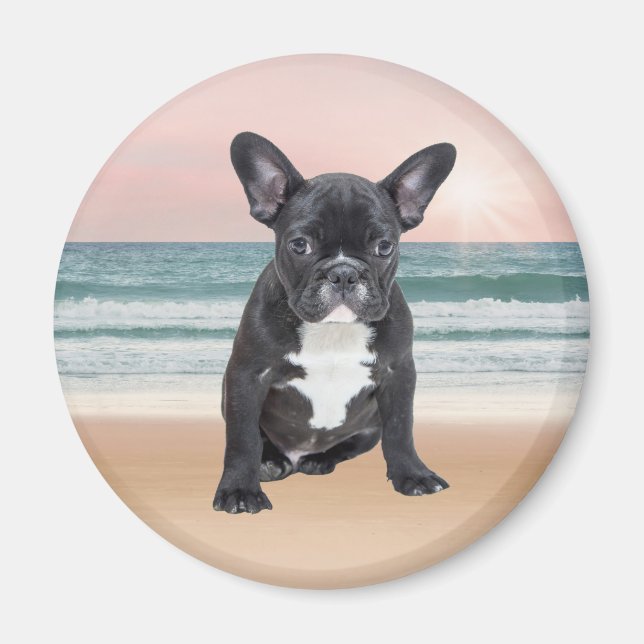 Cute Fransk Bulldog Beach Sol Vatten Magnet (Framsidan)