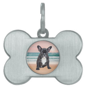 Cute Fransk Bulldog Beach Sol Vatten Namnbricka Husdjur