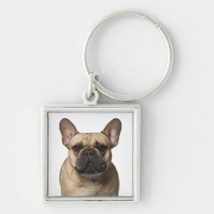 Cute Fransk Bulldog Mamma Frenchie Pappa Puppy Hun Fyrkantig Silverfärgad Nyckelring