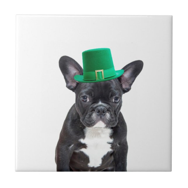 Cute Fransk Bulldog med Hat St. Patrick's Day Kakelplatta (Framsidan)
