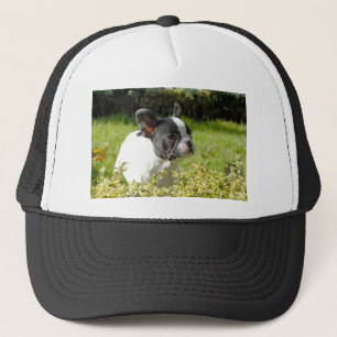 Cute Fransk bulldog på gräs Truckerkeps