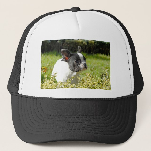 Cute Fransk bulldog på gräs Truckerkeps (Framsida)
