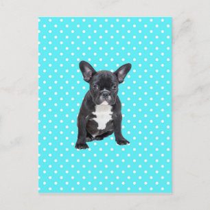 Cute Fransk Bulldog Puppy Blue Polka dots Vykort