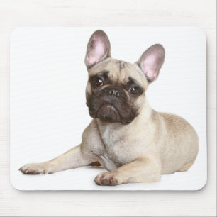 Cute Fransk Bulldog Puppy Hund Mousepad Musmatta