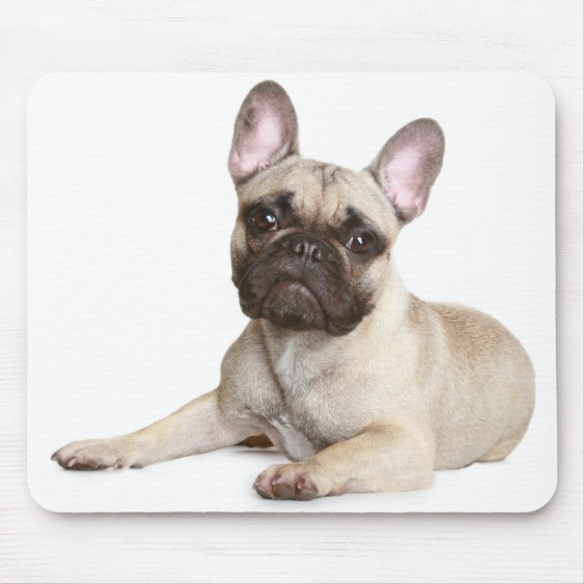 Cute Fransk Bulldog Puppy Hund Mousepad Musmatta (Framsidan)