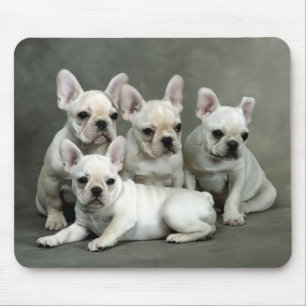 Cute Fransk Bulldog Puppy Hund Mousepad Musmatta