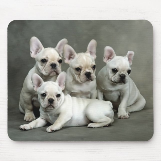 Cute Fransk Bulldog Puppy Hund Mousepad Musmatta (Framsidan)