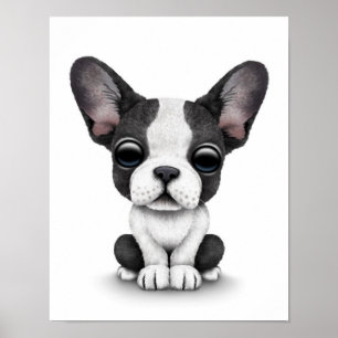 Cute Fransk Bulldog Puppy Hund på vit Poster
