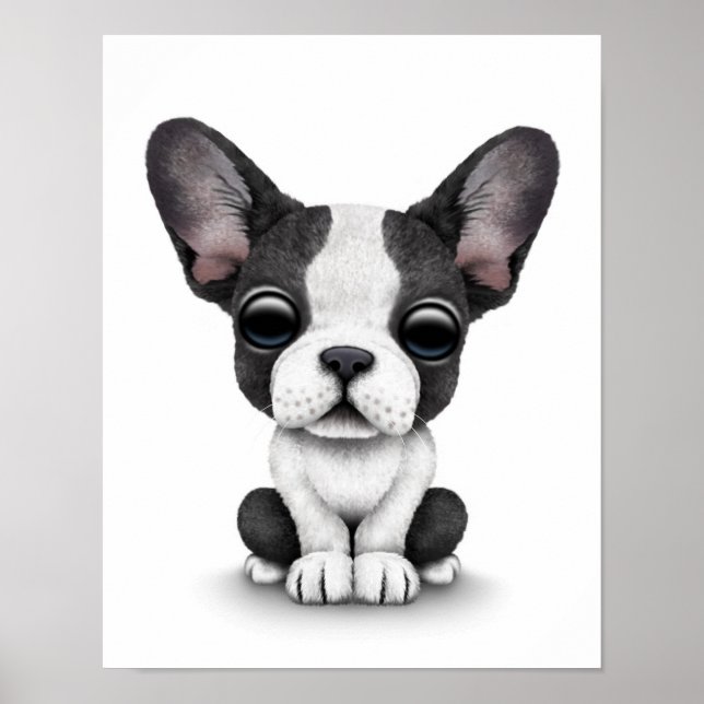 Cute Fransk Bulldog Puppy Hund på vit Poster (Framsidan)
