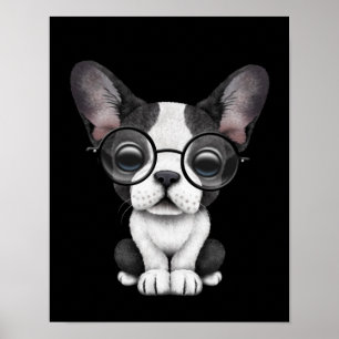 Cute Fransk Bulldog Puppy med glasögon, svart Poster