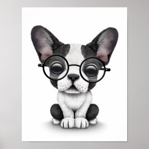 Cute Fransk Bulldog Puppy med glasögon, vit Poster