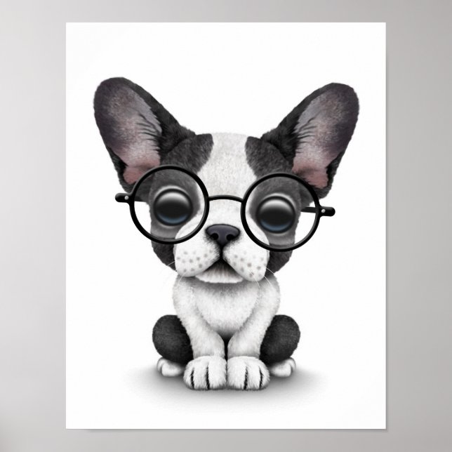 Cute Fransk Bulldog Puppy med glasögon, vit Poster (Framsidan)
