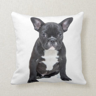 Cute Fransk Bulldog Puppy Pillow Kudde