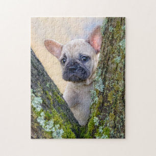 Cute Fransk Bulldog Puppy Posy i en Gren-gaffel Pussel