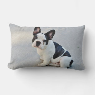Cute Fransk Bulldog Puppy svartvit Lumbarkudde
