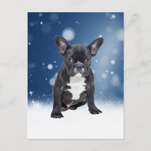 Cute Fransk Bulldog Snö Stars Blå jul Helg Vykort (Framsida)
