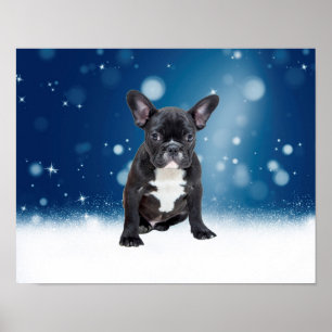 Cute Fransk Bulldog Snö Stars Blå jul Poster