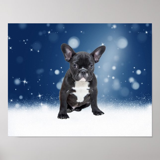 Cute Fransk Bulldog Snö Stars Blå jul Poster (Framsidan)
